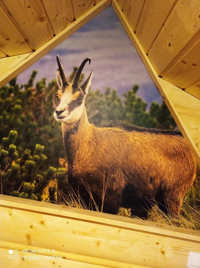 Noclegi U Gabrysi Kościelisko Extérieur photo
